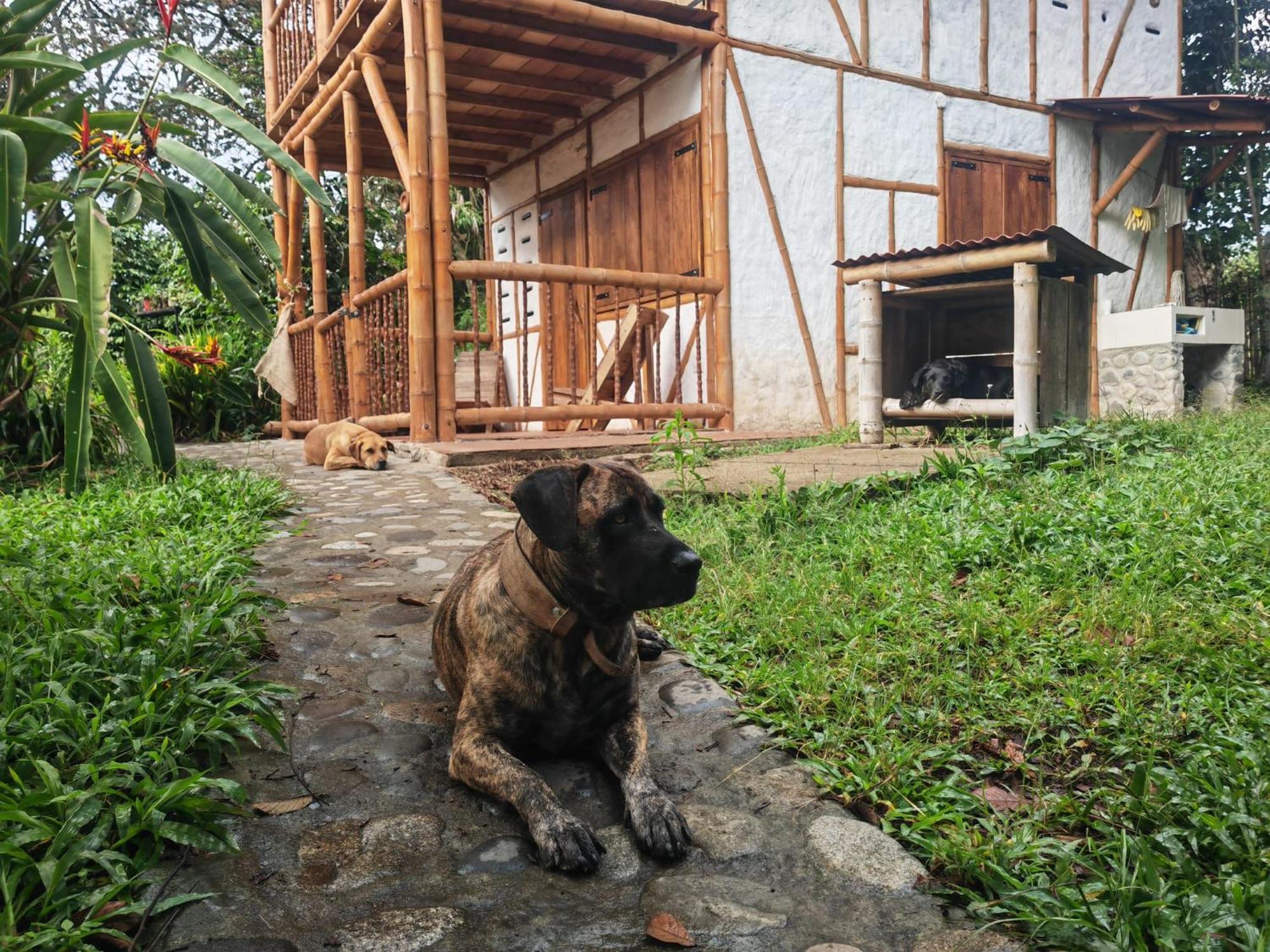 Casa Entera Finca Cometa San Agustin Bagian luar foto
