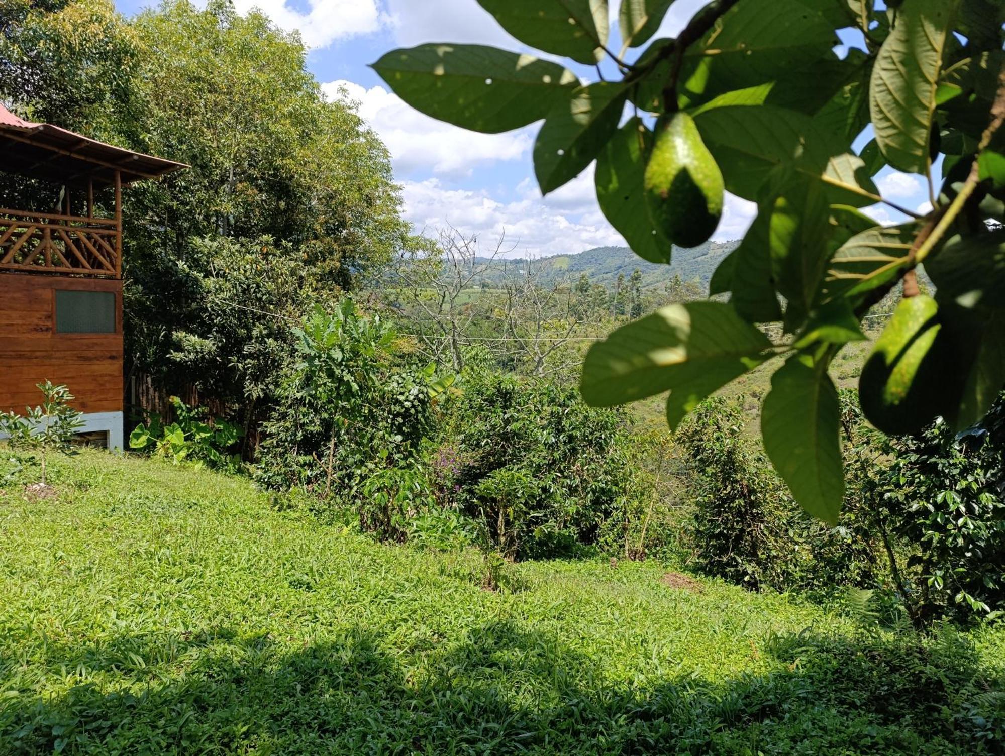 Casa Entera Finca Cometa San Agustin Bagian luar foto