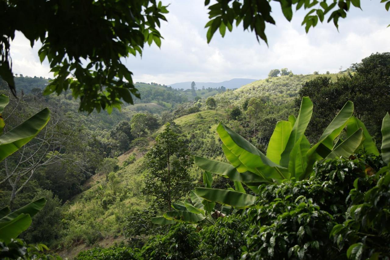 Casa Entera Finca Cometa San Agustin Bagian luar foto